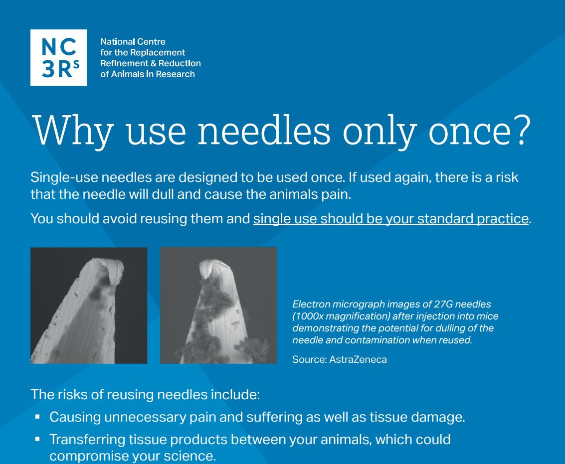 Single use of needles NC3Rs